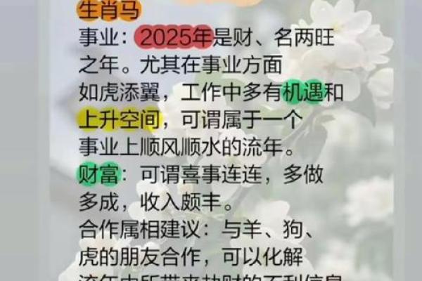 2026年1月生肖属马的人事业财运和健康运势详解