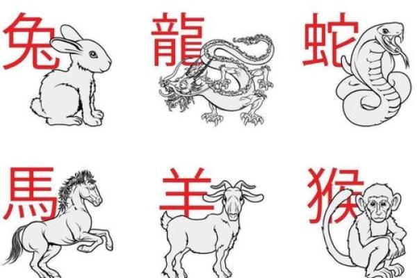 三妻四妾在十二生肖中代表哪个动物  
