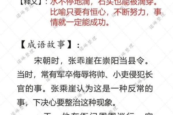 青衣乌帽打一生肖  词语释义解释落实
