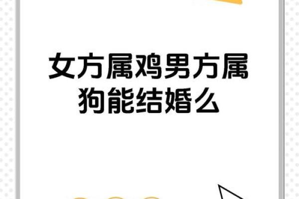 属鸡女最佳婚配  词语释义解释落实