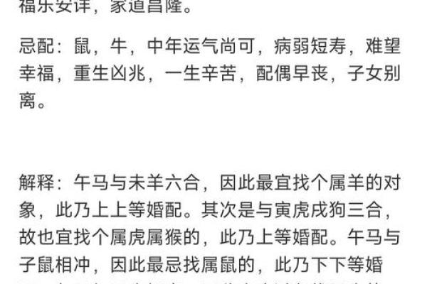 属马的和什么属相最配、相克  词语释义解释落实