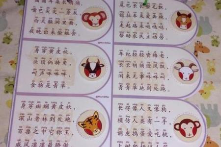 亡羊补牢是什么生肖  词语释义解释落实