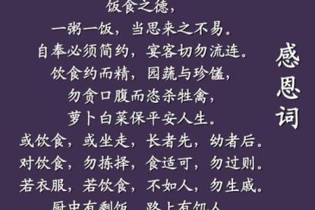 一饭之恩是什么生肖  词语释义解释落实