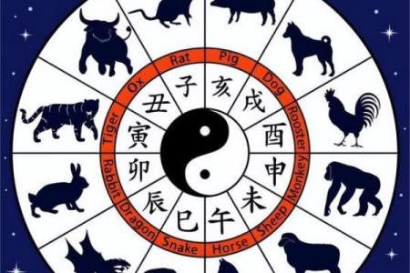 1963年属什么生肖  词语释义解释落实
