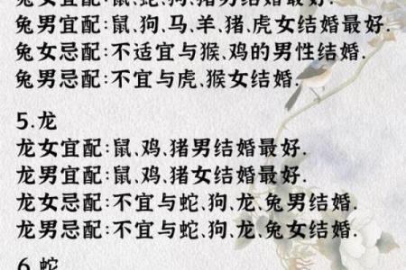 欢天喜地对应的生肖是哪个 民间说法与性格特征分析  
