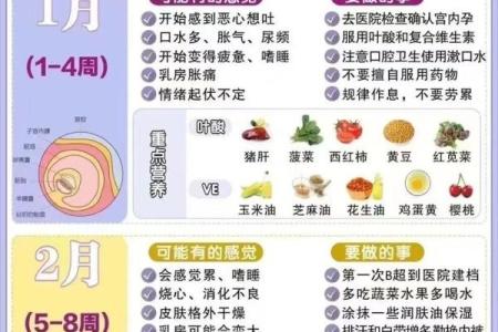 2026年1月预产期，最佳的怀孕月份是哪几个月以及饮食注意