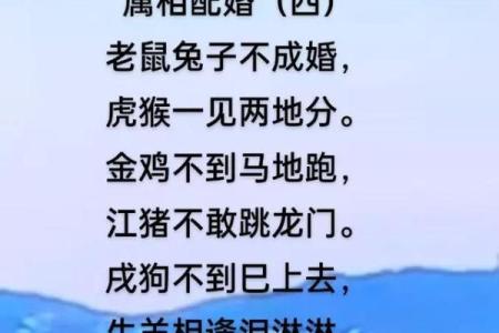 兔死狗烹是什么生肖  词语释义解释落实