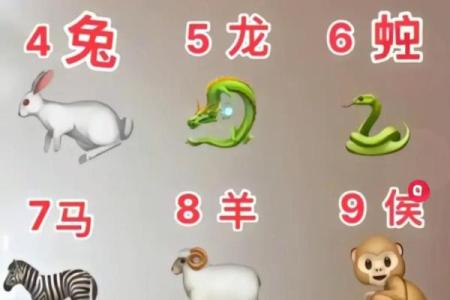 数以万计的动物中哪些生肖最受欢迎  