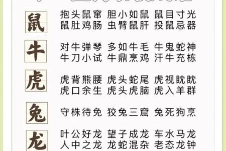 贪婪成性什么生肖  词语释义解释落实