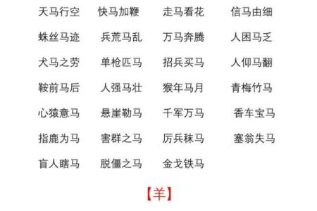 眼高手低的动物是什么生肖  词语释义解释落实