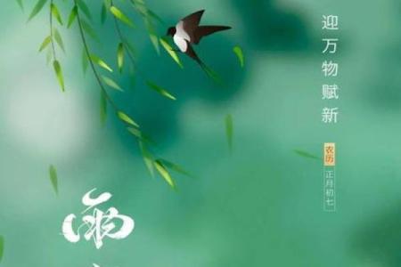风调雨顺打一生肖是什么动物  