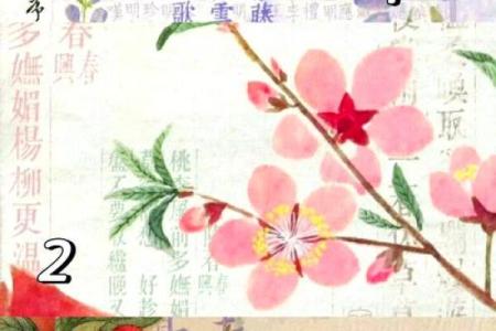 铜墙铁壁打一生肖是什么意思答案揭晓  