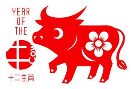 春光明媚形容哪个生肖的性格特点最贴切  