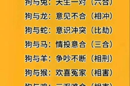 羊入虎口对应的生肖动物是哪个  