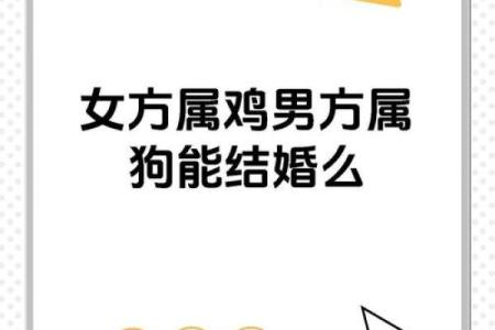 属鸡女最佳婚配  词语释义解释落实