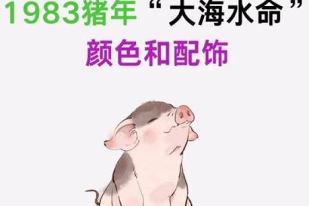 1983年出生的人属什么生肖和五行  