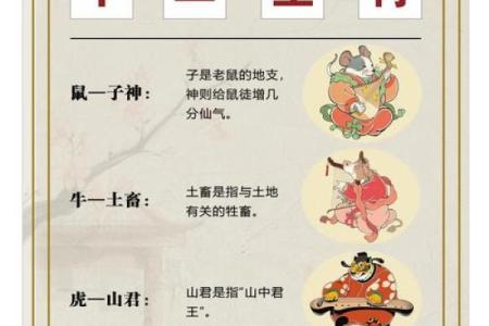 一心一意打一个生肖  词语释义解释落实