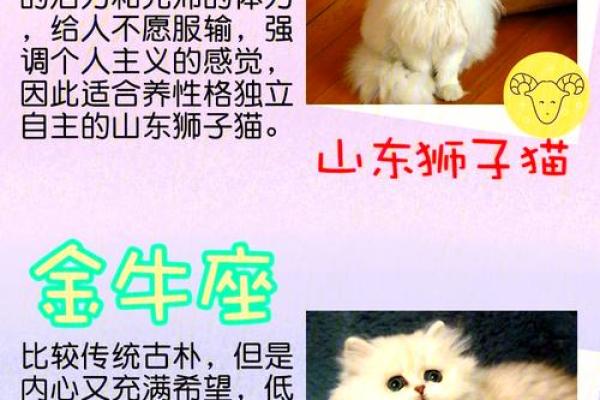 小家碧玉对应的生肖有哪些，如何判断自己的属相是否符合  