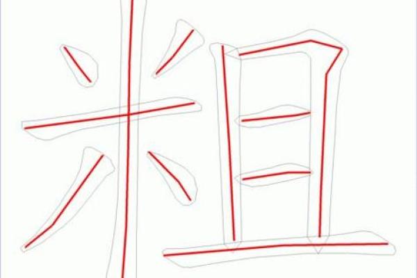 五大三粗是什么生肖  词语释义解释落实