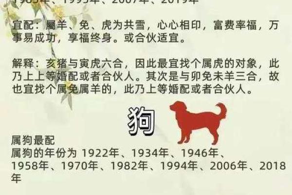 92年属相婚配最佳生肖有哪些  