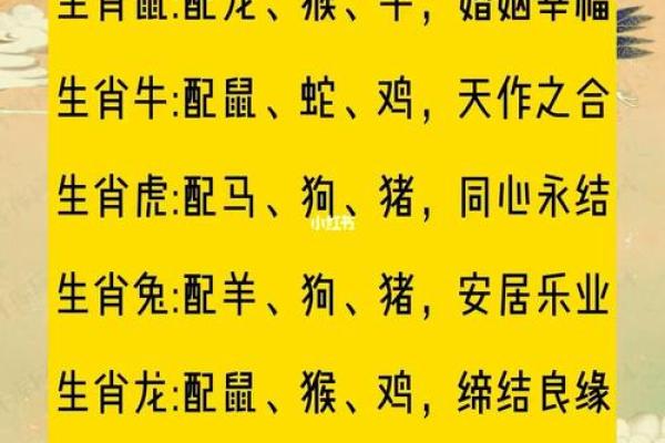 92年属相婚配最佳生肖有哪些  