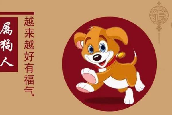 雷劈火烧是什么生肖  词语释义解释落实