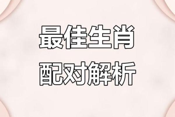 金龙油是特马猜一生肖的谜底解析与生肖对应关系  