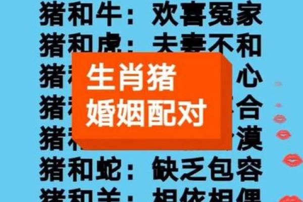 得过且过的生肖有哪些性格特点和运势解析  