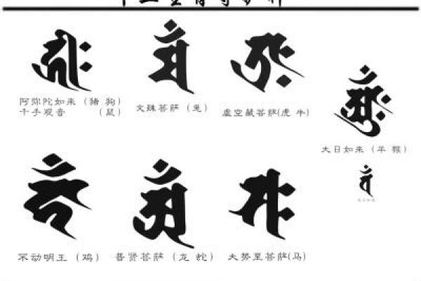 佛海无边打一生肖  词语释义解释落实