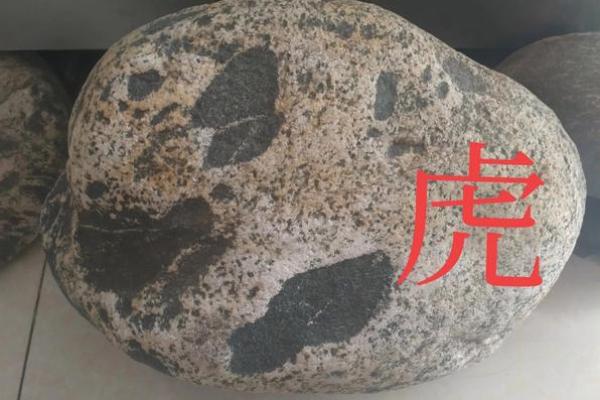 龙虎风云打一生肖的谜底是什么生肖  