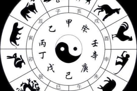 红光满面在十二生肖中对应哪个动物，如何判断  