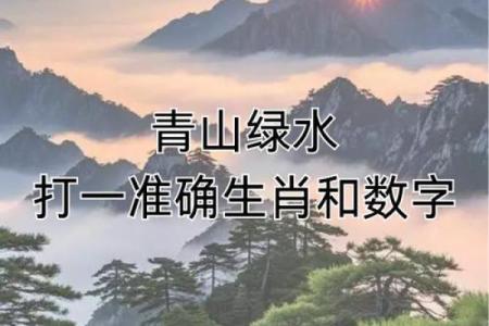 志在四方代表哪个生肖最准确  