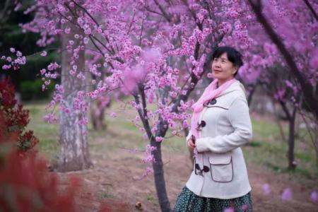 秀才元帅找杏花是什么生肖  词语释义解释落实