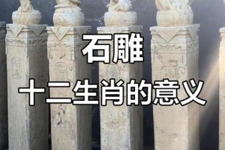天各一方对应的生肖是什么及其寓意解析  
