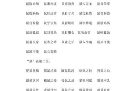 鼠肚鸡肠对应的生肖性格分析 如何相处建议  