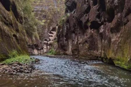 高山流水打一个生肖  词语释义解释落实