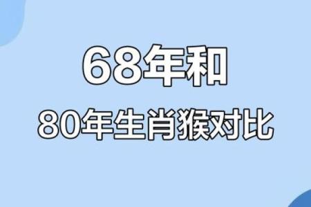 1968年属什么  词语释义解释落实