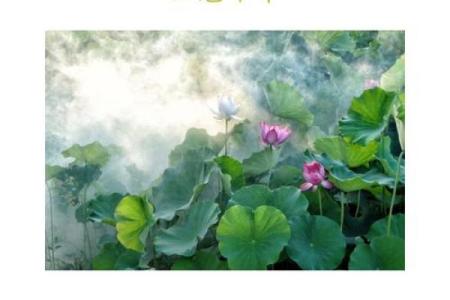 阳春白雪是什么生肖  词语释义解释落实