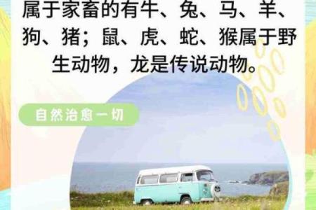 早出晚归指的是十二生肖中的哪个动物  