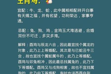 94年属相婚配宜忌有哪些  
